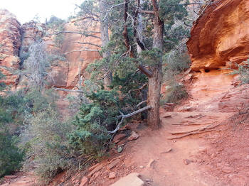 Trail Leading Up To The Top of Devils Bridge