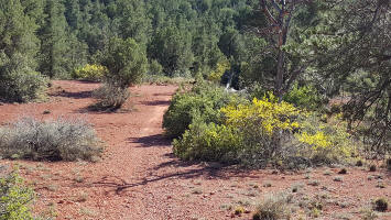 HT Trail End and junction with Templetin Trail.