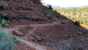 Templeton Trail - Base of Cathedral Rock - Picture 35