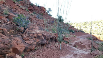Templeton Trail - Base of Cathedral Rock - Picture 3