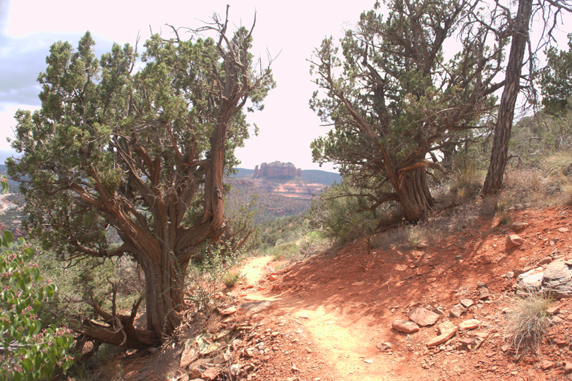 Airport Loop Trail Heading South - Cathedral Rock comes into view on the horizon.