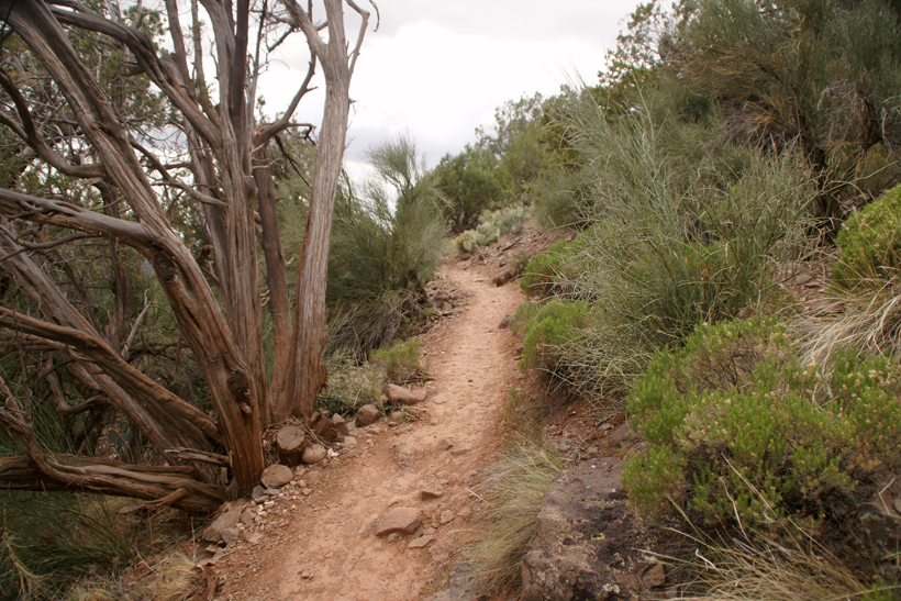 Hiking the South Side of Airport Loop Trail - Picture 2