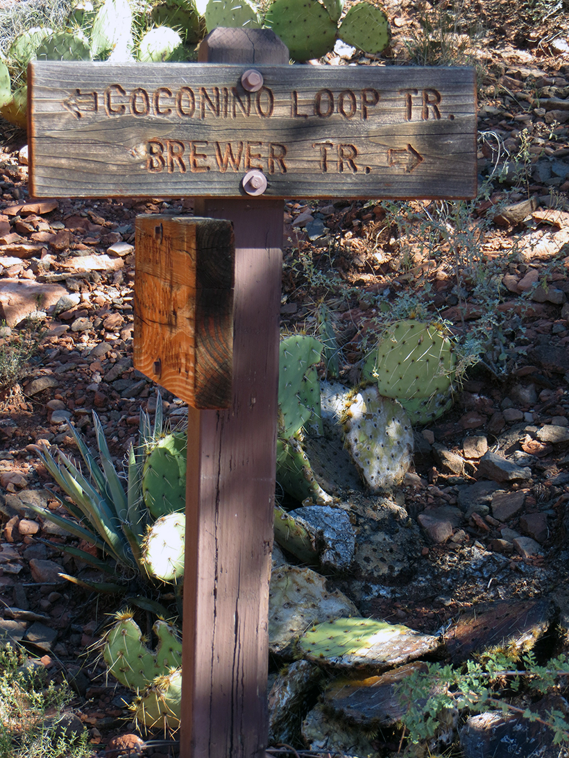 Coconino Loop Trail Junction Sign - Brewer Trail to the right.