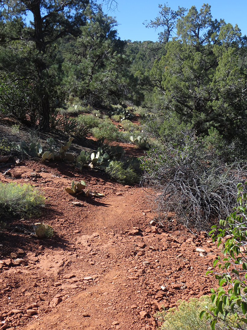 Northside of Coconino Loop Trail - Picture 1