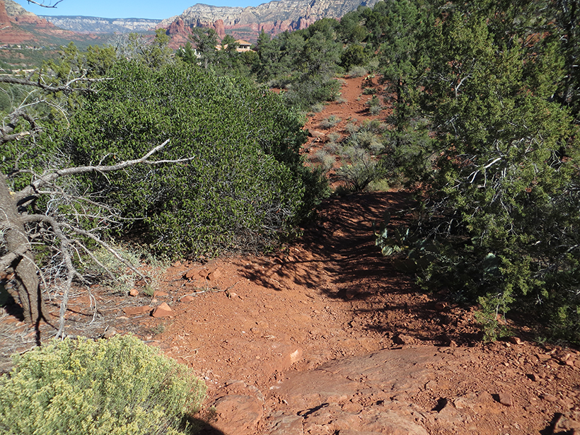 Looking back at northern section of Coconino Loop Trail.  