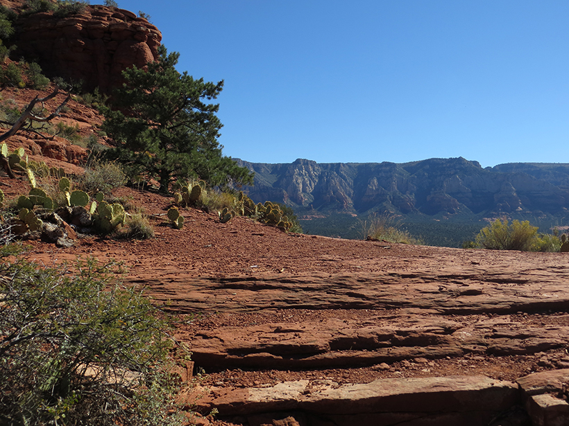 Coconico Loop Trail - Picture 38