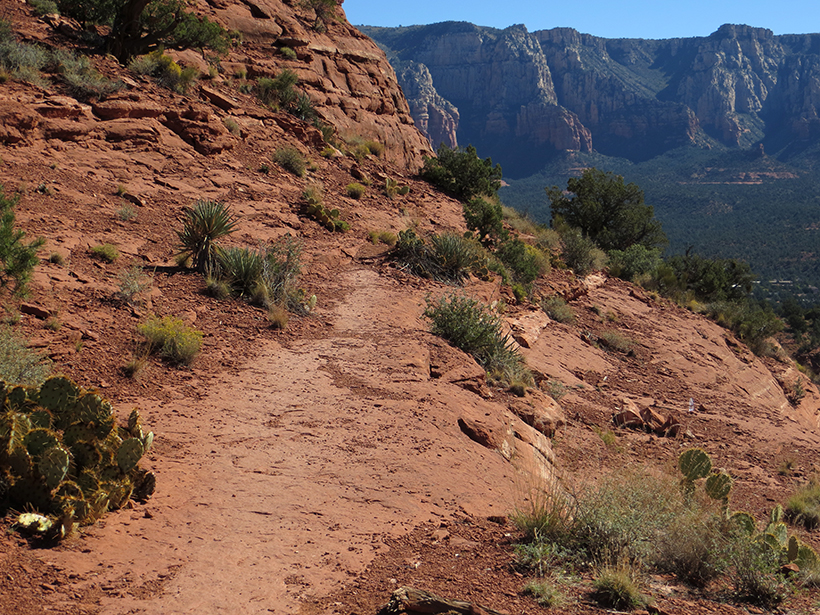 The first part of Coconino Loop Trail   