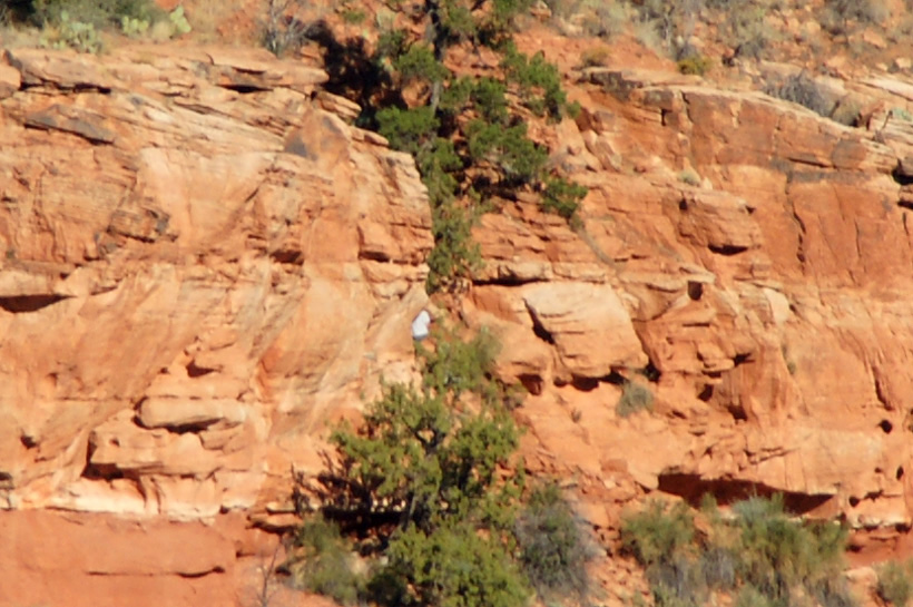 Climbing the First Vertical Section