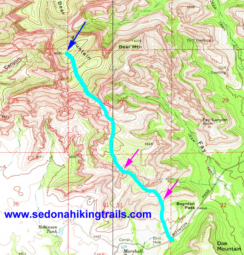 Bear Mountain Topographical Map