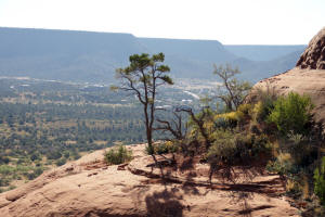 View to South - Bell Rock