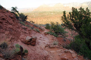 Upper Trail to Cathedral Rock Overlook - View to the North