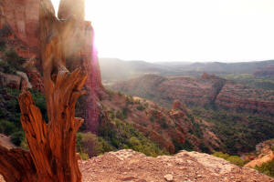 Cathedral Rock Overlook - View to Southwest