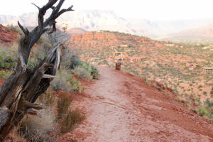 Descent on Upper Section of Cathedral Rock Trail