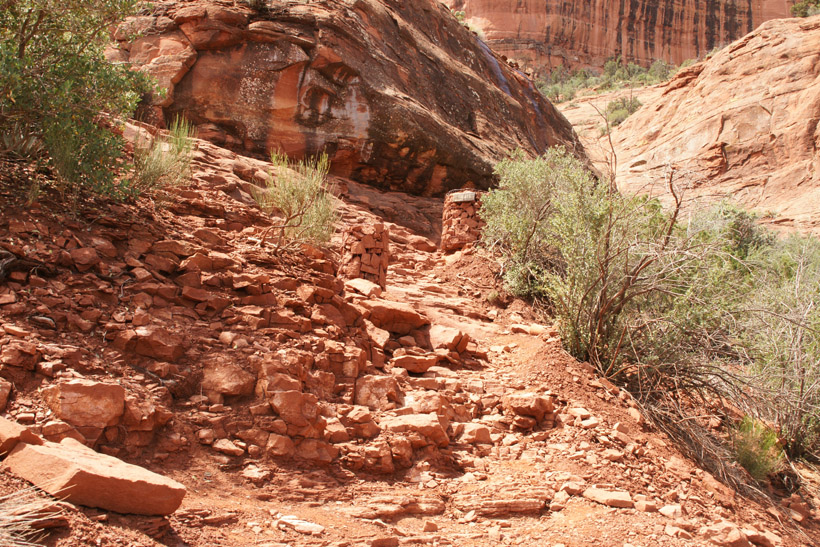 Final Leg of First (Base) Portion of Cathedral Rock Trail