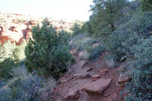 Doe Mountain Upper Trail - 2