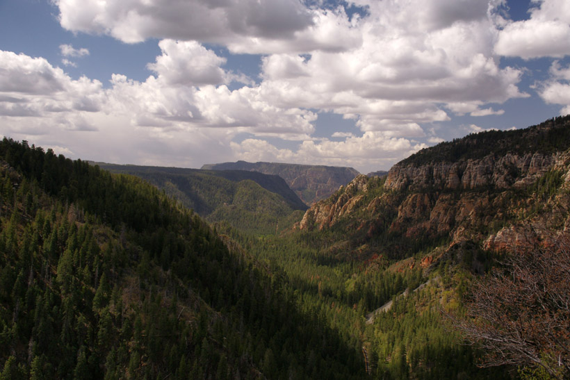 View From Oak Creek Canyon Overlook
