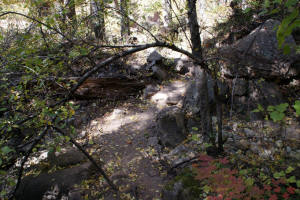 West Fork Trail