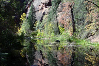 West Fork Trail