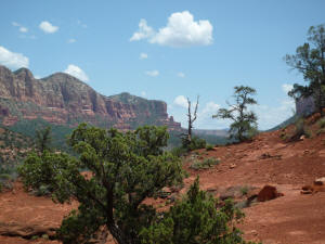 View to the southeast from the base of Cathedral Rock.